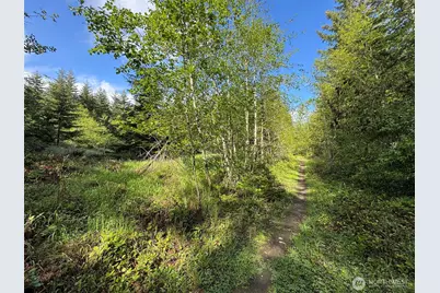 0 92+ Ac Headwaters Lane, Port Angeles, WA 98362 - Photo 34
