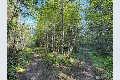 0 92+ Ac Headwaters Lane, Port Angeles, WA 98362 - Photo 20
