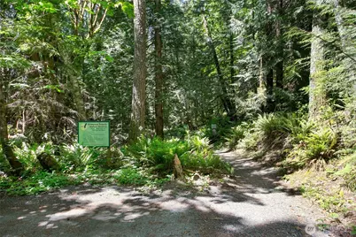 59 Stable Lane, Bellingham, WA 98229 - Photo 34