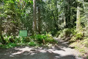 59 Stable Ln, Bellingham, WA 98229 - Photo 34