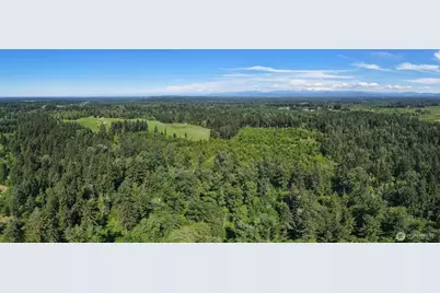 1716 304th Street E, Roy, WA 98360 - Photo 4