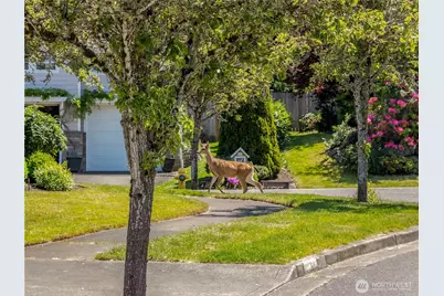4029 Crystal Ridge Drive SE, Puyallup, WA 98372 - Photo 38