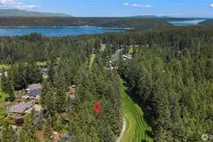91 E Jack Pine Ln, Union, WA 98592 - Photo 26