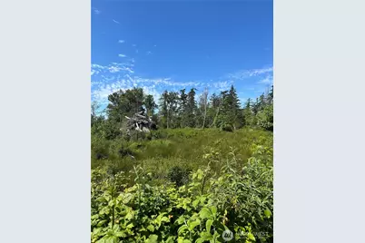 1 Seaview Lane, Mount Vernon, WA 98273 - Photo 6