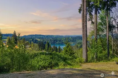 131 Sugar Pine Place, Mossyrock, WA 98564 - Photo 12
