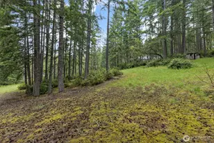 100 E Twanoh Heights Rd S, Belfair, WA 98528 - Photo 32