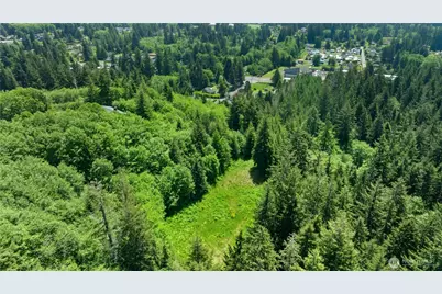 115 Reynvaan Drive, Aberdeen, WA 98520 - Photo 38