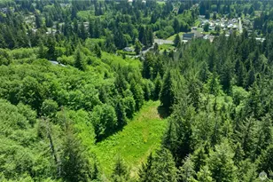 115 Reynvaan Dr, Aberdeen, WA 98520 - Photo 38