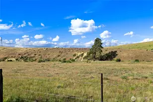 15290 Hwy 97, Ellensburg, WA 98926 - Photo 28
