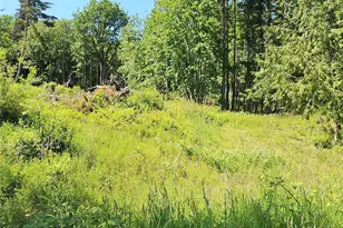 222 Triangle Cove Ln, Camano Island, WA 98282 - Photo 1