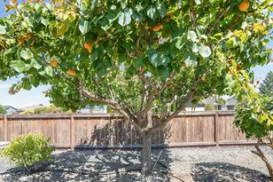 4095 W Cove West Dr, Moses Lake, WA 98837 - Photo 38