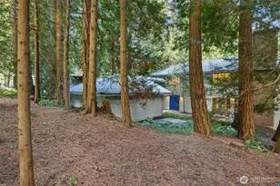 13619 NE 28th St, Bellevue, WA 98005 - Photo 32
