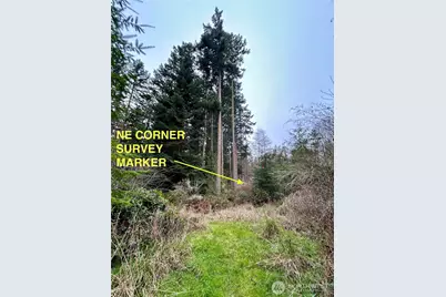 0 933600901, Port Townsend, WA 98368 - Photo 8