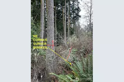 0 933600901, Port Townsend, WA 98368 - Photo 6