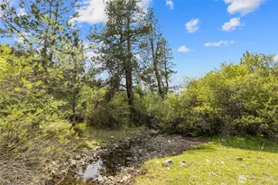 6750 Secret Canyon Rd, Ellensburg, WA 98926 - Photo 6