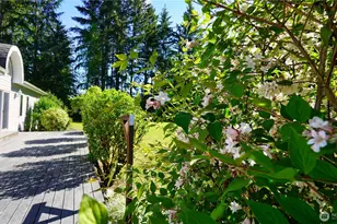 32010 71st Ave Ct E, Eatonville, WA 98328 - Photo 32