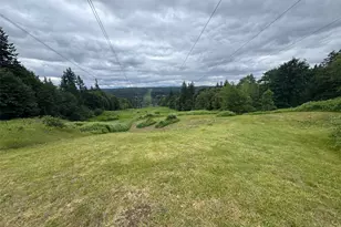 30613 NE 183rd St, Duvall, WA 98019 - Photo 34