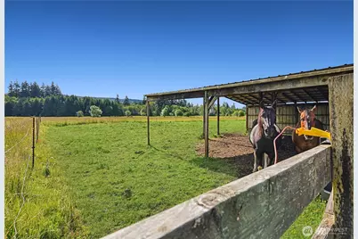 447 Boistfort Road, Curtis, WA 98538 - Photo 36