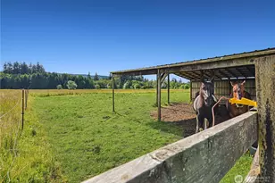 447 Boistfort Rd, Curtis, WA 98538 - Photo 36