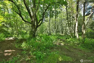 0 Foxglove, Langley, WA 98260 - Photo 1