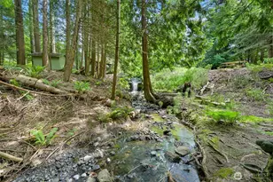 3987 Britton Rd, Bellingham, WA 98226 - Photo 32