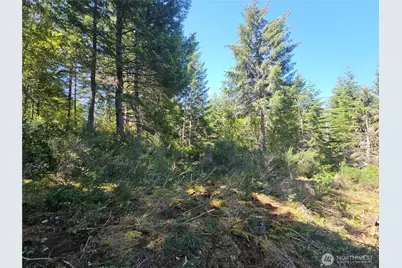 400 Xxx Southridge Drive, Belfair, WA 98528 - Photo 6