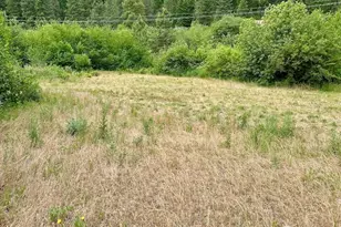 15425 Chumstick Hwy, Leavenworth, WA 98826 - Photo 6