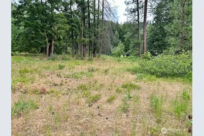 15425 Chumstick Highway, Leavenworth, WA 98826 - Photo 8