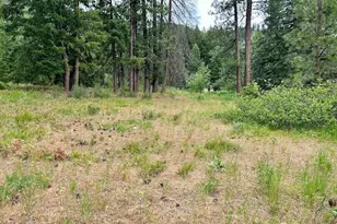 15425 Chumstick Hwy, Leavenworth, WA 98826 - Photo 8
