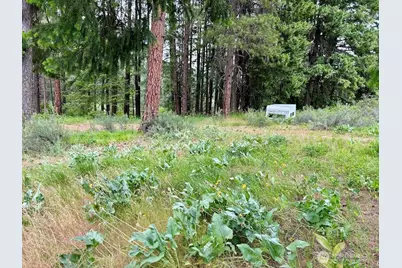 15425 Chumstick Highway, Leavenworth, WA 98826 - Photo 4