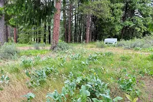 15425 Chumstick Hwy, Leavenworth, WA 98826 - Photo 4