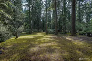 3812 154th St Ct NW, Gig Harbor, WA 98332 - Photo 30