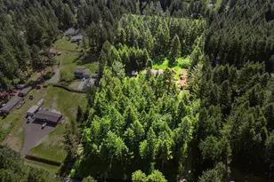 34411 48th Ave E, Eatonville, WA 98328 - Photo 2