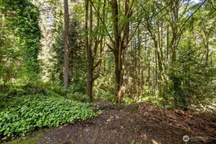 13412 54th Ave W, Edmonds, WA 98026 - Photo 32