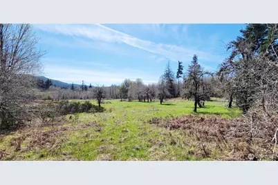 0 W Cloquallum Road, Shelton, WA 98584 - Photo 2