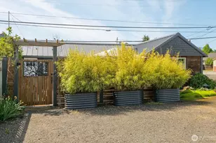 233 W Washington St, Sequim, WA 98382 - Photo 28