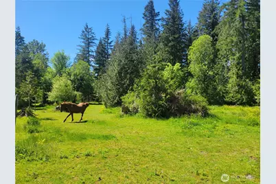 632 Meier Road, Winlock, WA 98596 - Photo 10