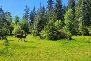632 Meier Rd, Winlock, WA 98596 - Photo 10