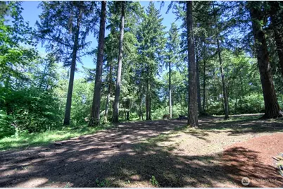 13336 Sunset Heights Lane SE, Tenino, WA 98589 - Photo 36