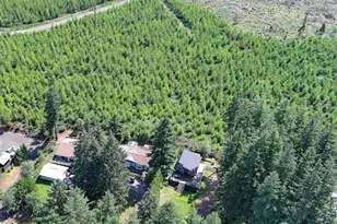 430 E Olympic Dr, Belfair, WA 98546 - Photo 16