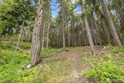 1771 Timber Mountain Loop, Cle Elum, WA 98922 - Photo 38