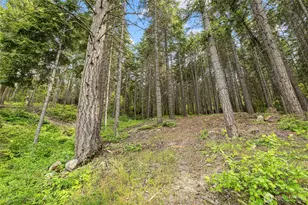 1771 Timber Mountain Loop, Cle Elum, WA 98922 - Photo 38