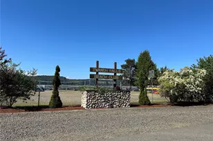 161 E Forest Dr, Belfair, WA 98528 - Photo 28