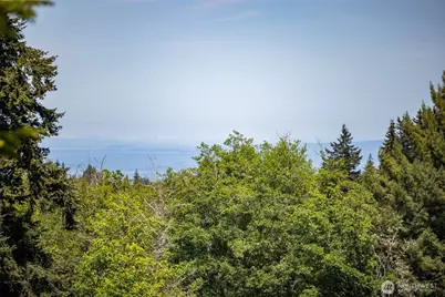 277 Shady Creek Lane, Port Angeles, WA 98362 - Photo 14