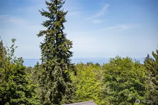 277 Shady Creek Ln, Port Angeles, WA 98362 - Photo 16