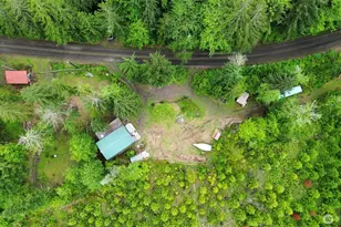 3320 Duckabush Rd, Brinnon, WA 98320 - Photo 36