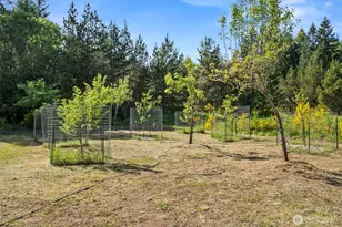 17232 148th Ave SE, Yelm, WA 98597 - Photo 36