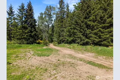 17232 148th Avenue SE, Yelm, WA 98597 - Photo 38