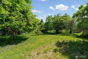916 Bowker St SE, Lacey, WA 98503 - Photo 26