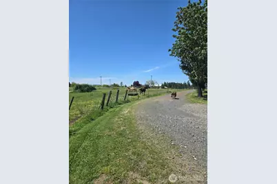 205 Nikula Road, Winlock, WA 98596 - Photo 26